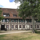 IMG_7860.jpg