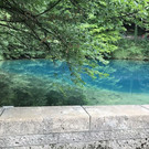 IMG_7876.jpg
