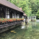 IMG_7882.jpg