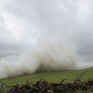 Harvey_92360.jpg