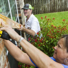 Harvey_70285.jpg