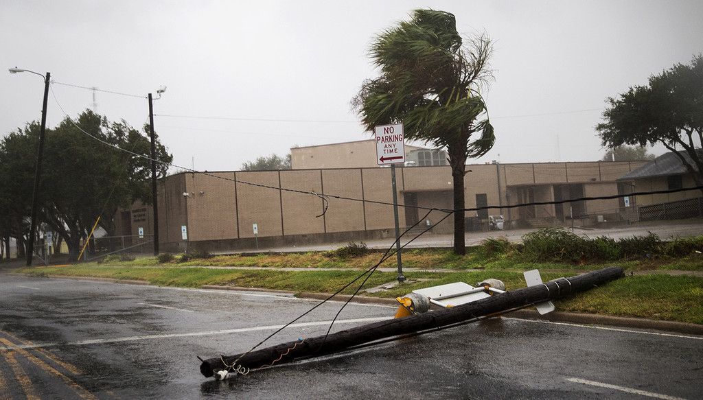 Harvey_44318.jpg