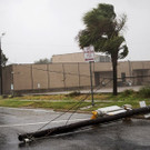 Harvey_44318.jpg