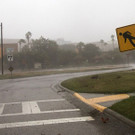 Harvey_86996.jpg