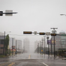 Harvey_84353.jpg