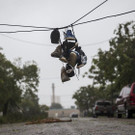 Harvey_77740.jpg