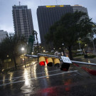 Harvey_74517.jpg