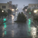Harvey_77415.jpg