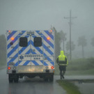 Harvey_80348.jpg