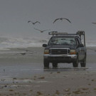 Harvey_52946.jpg