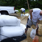 Harvey_90934.jpg