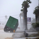 Harvey_56121.jpg