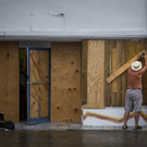 Harvey_61148.jpg
