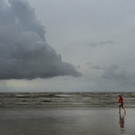 Harvey_14074.jpg