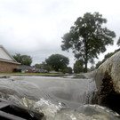 Harvey_15081.jpg