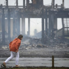 Harvey_20729.jpg