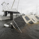 Harvey_75072.jpg