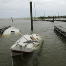 Harvey_86483.jpg