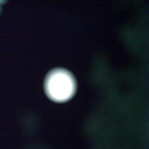 556215.jpg