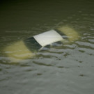 APTOPIX_Harvey_53547.jpg