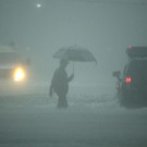 APTOPIX_Harvey_30707.jpg