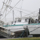APTOPIX_Harvey_76022.jpg