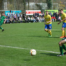 DSC02403.JPG
