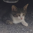 Fundkater