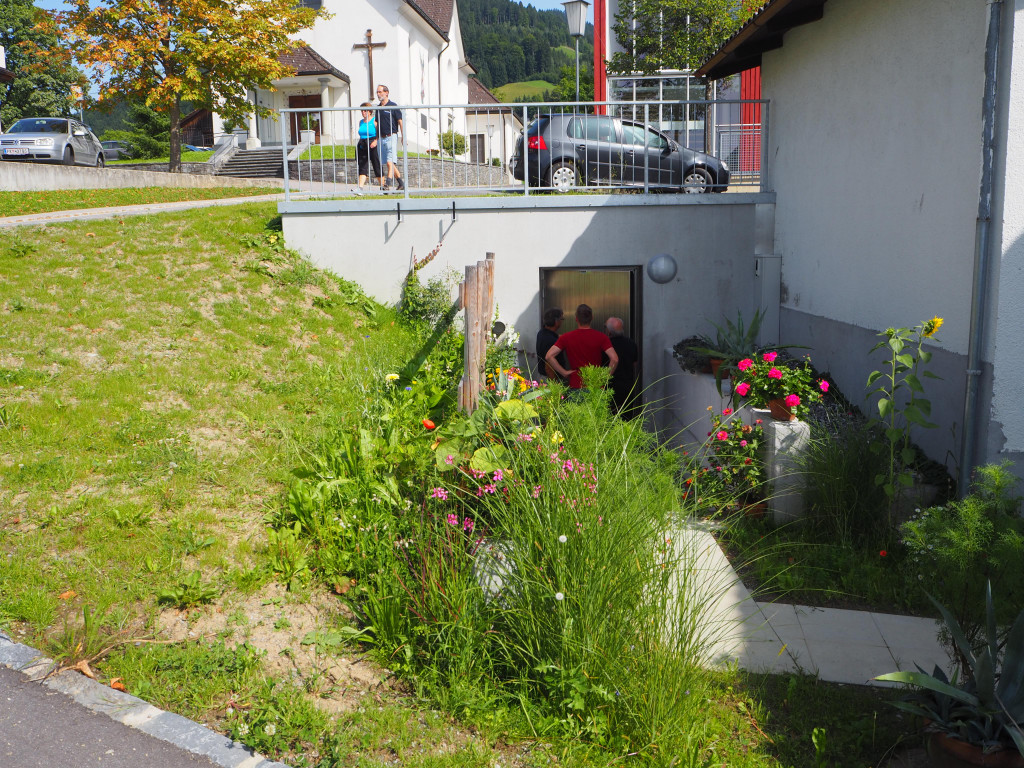 P8262880.JPG