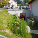 P8262880.JPG