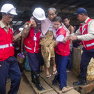 myanmar-rohingya-flucht _27_.jpg