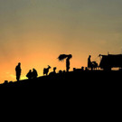 AFP_RX6D5.jpg