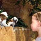 Tierischer Schulstart im Haus des Meeres: Eindrücke