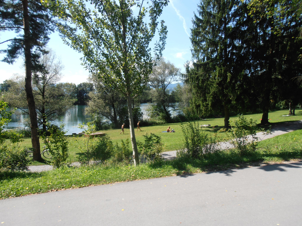 Wanderung am Alten Rhein 22_08 _3_.JPG