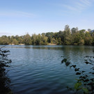 Wanderung am Alten Rhein 22_08 _9_.JPG