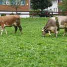 DSC01808.JPG