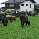 DSC01783.JPG