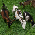 DSC01790.JPG