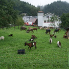 DSC01809.JPG