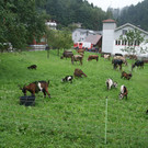 DSC01810.JPG