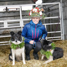 Alpabtrieb 2017 _42_.JPG