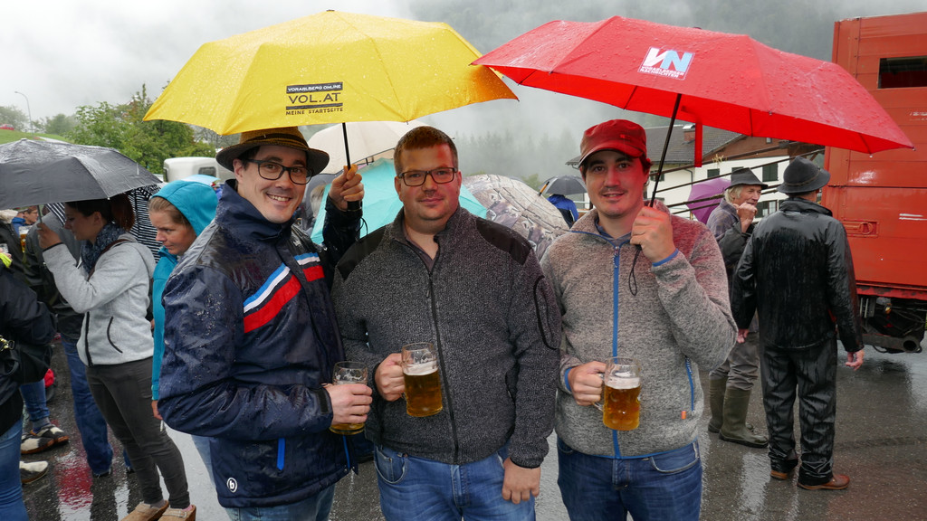 Alpabtrieb 2017 _39_.JPG