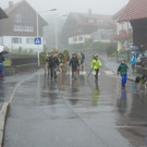 Alpabtrieb 2017 _8_.JPG