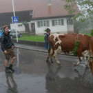 Alpabtrieb 2017 _11_.JPG