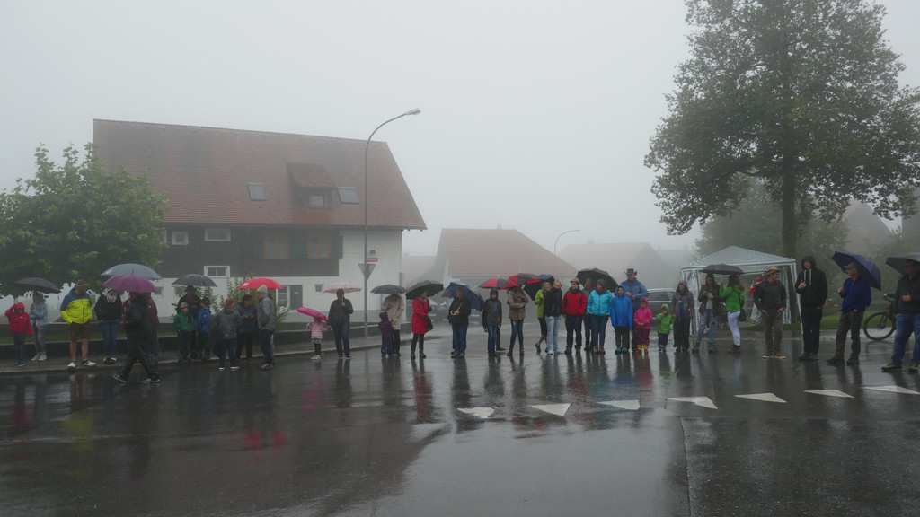 Alpabtrieb 2017 _12_.JPG