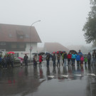 Alpabtrieb 2017 _12_.JPG