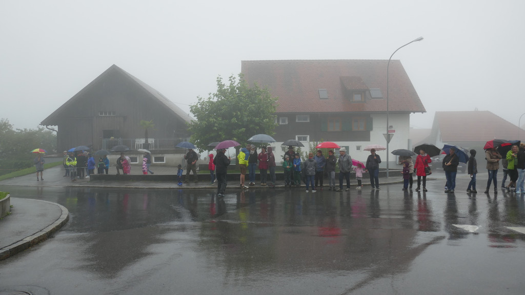 Alpabtrieb 2017 _13_.JPG