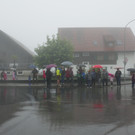 Alpabtrieb 2017 _13_.JPG