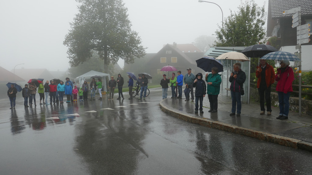 Alpabtrieb 2017 _14_.JPG