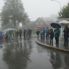 Alpabtrieb 2017 _14_.JPG